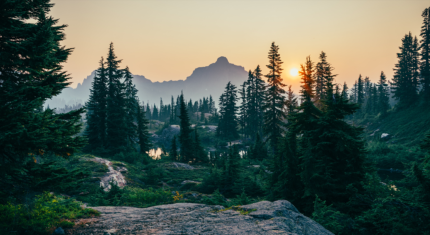 Boreal Forest Fires